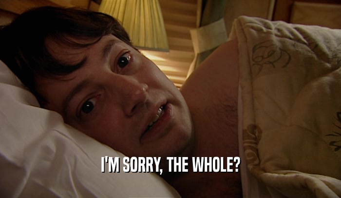I'M SORRY, THE WHOLE?  