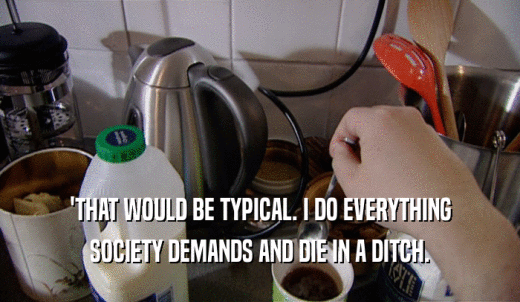 'THAT WOULD BE TYPICAL. I DO EVERYTHING SOCIETY DEMANDS AND DIE IN A DITCH. 