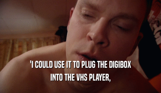 'I COULD USE IT TO PLUG THE DIGIBOX INTO THE VHS PLAYER, 