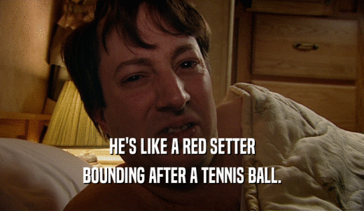 HE'S LIKE A RED SETTER BOUNDING AFTER A TENNIS BALL. 