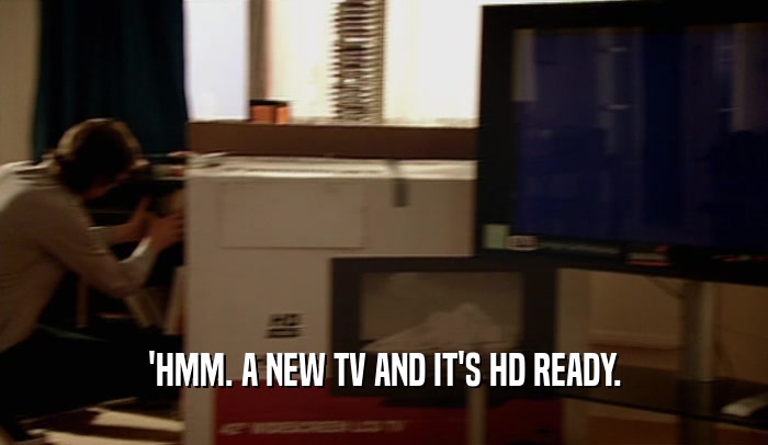 'HMM. A NEW TV AND IT'S HD READY.
  