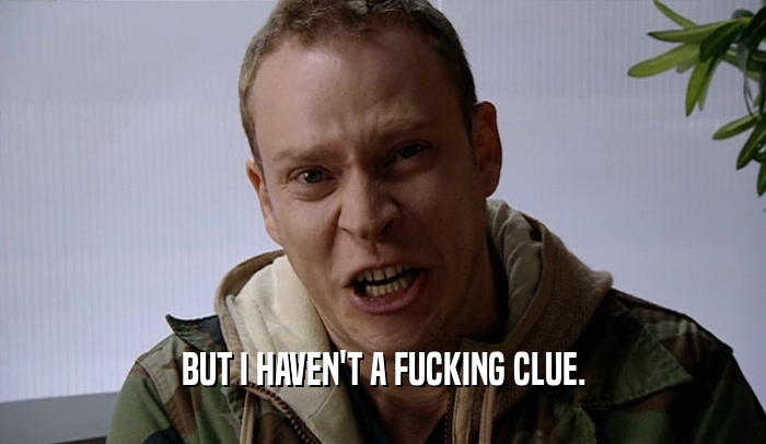 BUT I HAVEN'T A FUCKING CLUE.  