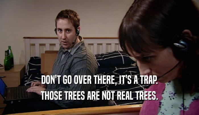 DON'T GO OVER THERE, IT'S A TRAP. THOSE TREES ARE NOT REAL TREES. 