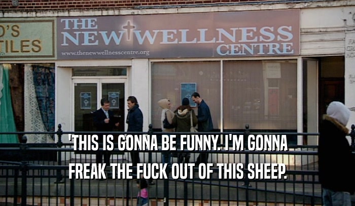 'THIS IS GONNA BE FUNNY. I'M GONNA FREAK THE FUCK OUT OF THIS SHEEP. 