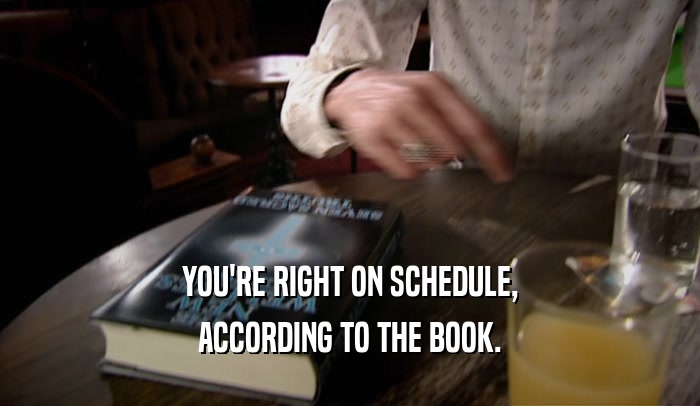 YOU'RE RIGHT ON SCHEDULE, ACCORDING TO THE BOOK. 