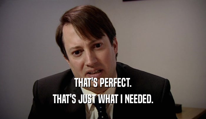 THAT'S PERFECT. THAT'S JUST WHAT I NEEDED. 