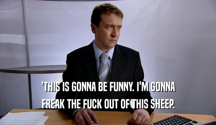 'THIS IS GONNA BE FUNNY. I'M GONNA FREAK THE FUCK OUT OF THIS SHEEP. 