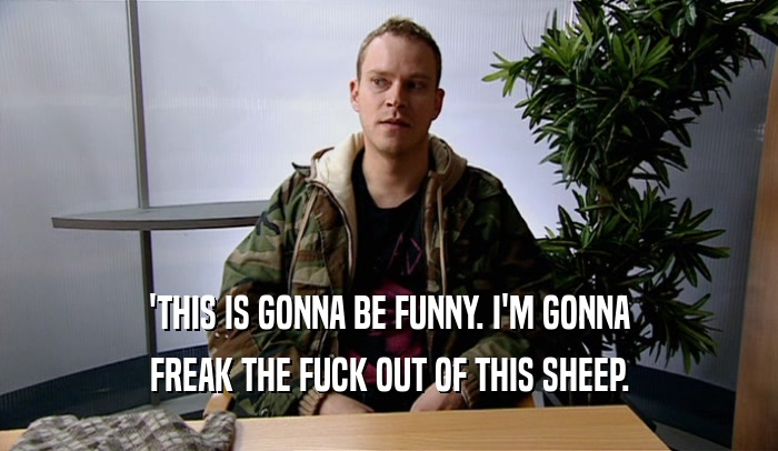 'THIS IS GONNA BE FUNNY. I'M GONNA FREAK THE FUCK OUT OF THIS SHEEP. 