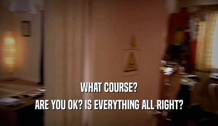 WHAT COURSE?
 ARE YOU OK? IS EVERYTHING ALL RIGHT?
 