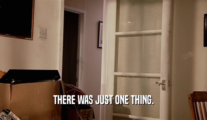THERE WAS JUST ONE THING.  