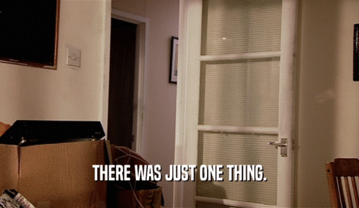 THERE WAS JUST ONE THING.  