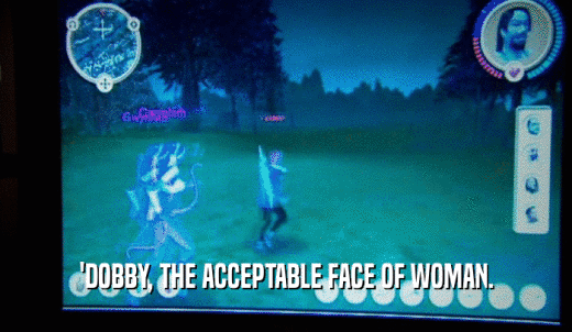 'DOBBY, THE ACCEPTABLE FACE OF WOMAN.  