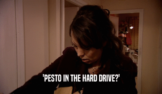 'PESTO IN THE HARD DRIVE?'  