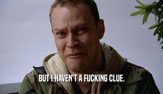 BUT I HAVEN'T A FUCKING CLUE.  