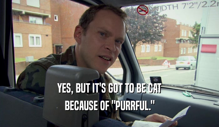 YES, BUT IT'S GOT TO BE CAT BECAUSE OF 