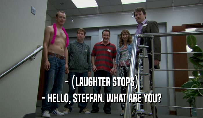 - (LAUGHTER STOPS) - HELLO, STEFFAN. WHAT ARE YOU? 
