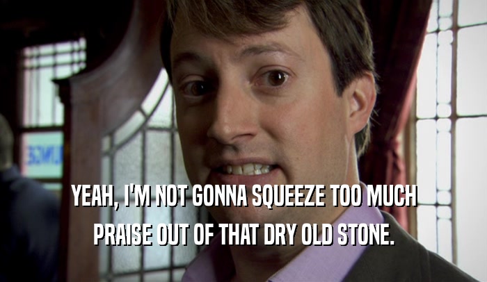 YEAH, I'M NOT GONNA SQUEEZE TOO MUCH PRAISE OUT OF THAT DRY OLD STONE. 