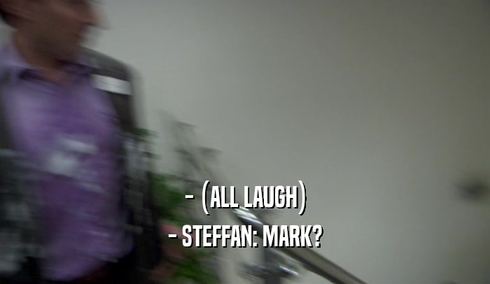 - (ALL LAUGH) - STEFFAN: MARK? 