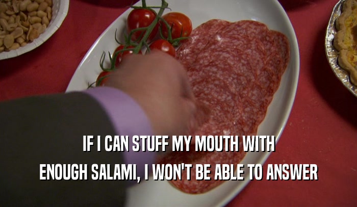 IF I CAN STUFF MY MOUTH WITH ENOUGH SALAMI, I WON'T BE ABLE TO ANSWER 