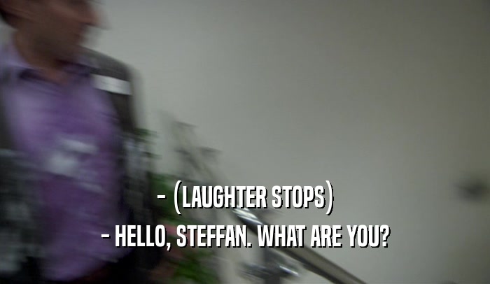 - (LAUGHTER STOPS) - HELLO, STEFFAN. WHAT ARE YOU? 