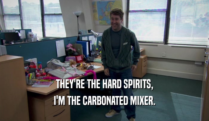THEY'RE THE HARD SPIRITS, I'M THE CARBONATED MIXER. 