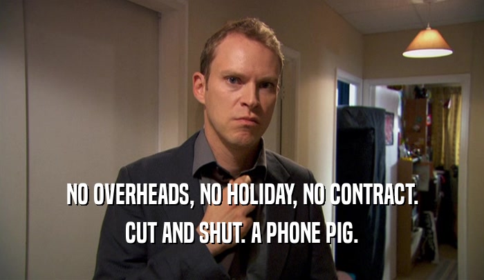 NO OVERHEADS, NO HOLIDAY, NO CONTRACT. CUT AND SHUT. A PHONE PIG. 