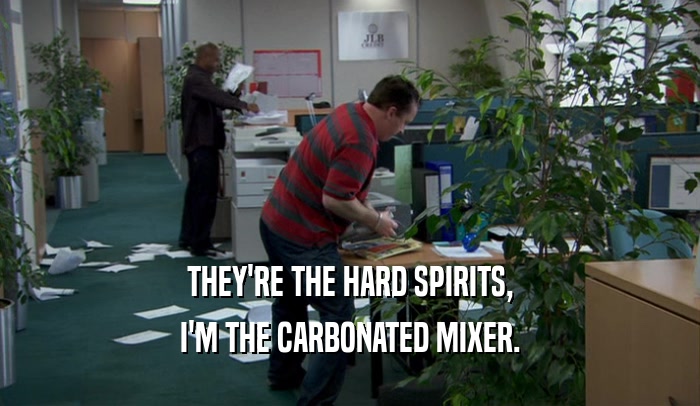 THEY'RE THE HARD SPIRITS, I'M THE CARBONATED MIXER. 