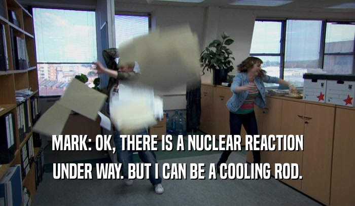MARK: OK, THERE IS A NUCLEAR REACTION UNDER WAY. BUT I CAN BE A COOLING ROD. 