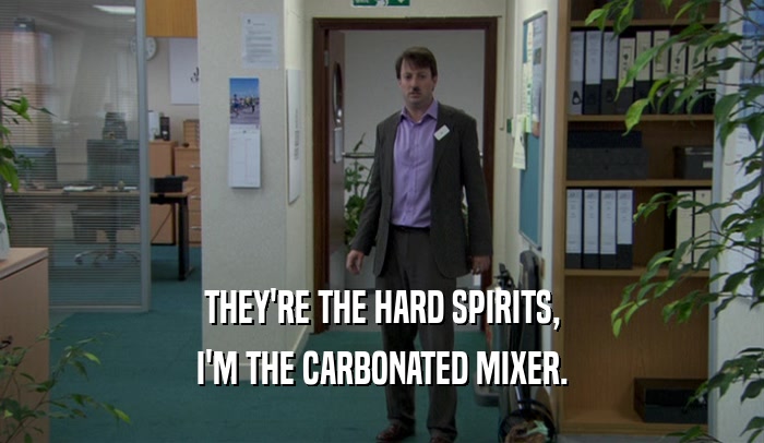 THEY'RE THE HARD SPIRITS, I'M THE CARBONATED MIXER. 