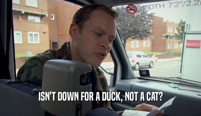ISN'T DOWN FOR A DUCK, NOT A CAT?  