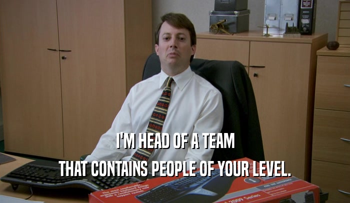I'M HEAD OF A TEAM THAT CONTAINS PEOPLE OF YOUR LEVEL. 