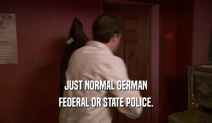 JUST NORMAL GERMAN FEDERAL OR STATE POLICE. 
