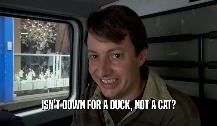 ISN'T DOWN FOR A DUCK, NOT A CAT?  