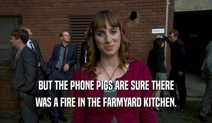 BUT THE PHONE PIGS ARE SURE THERE
 WAS A FIRE IN THE FARMYARD KITCHEN.
 