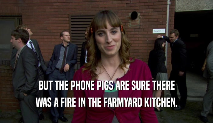 BUT THE PHONE PIGS ARE SURE THERE WAS A FIRE IN THE FARMYARD KITCHEN. 
