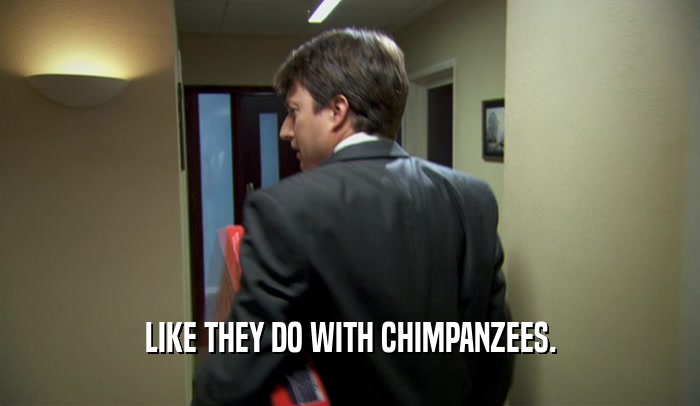 LIKE THEY DO WITH CHIMPANZEES.  
