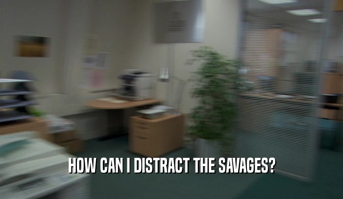 HOW CAN I DISTRACT THE SAVAGES?  