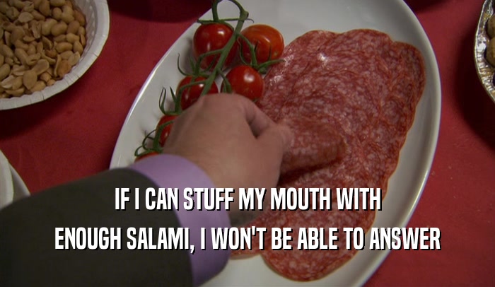 IF I CAN STUFF MY MOUTH WITH ENOUGH SALAMI, I WON'T BE ABLE TO ANSWER 