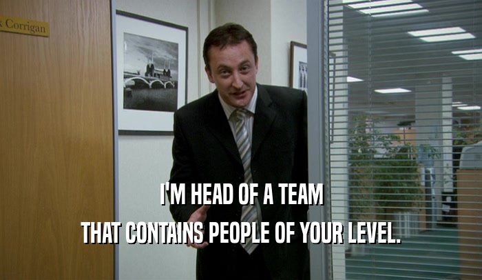 I'M HEAD OF A TEAM THAT CONTAINS PEOPLE OF YOUR LEVEL. 