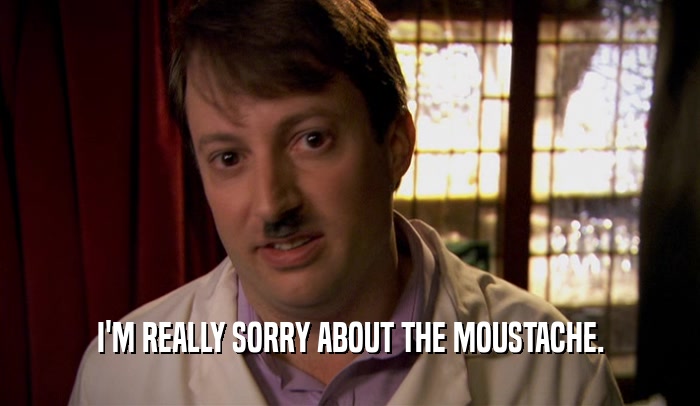 I'M REALLY SORRY ABOUT THE MOUSTACHE.  