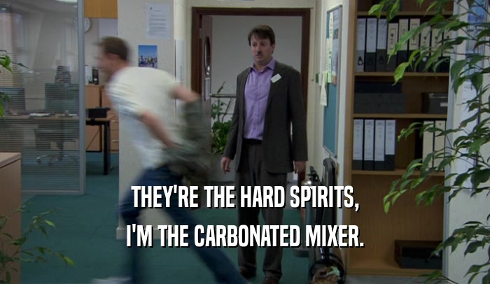 THEY'RE THE HARD SPIRITS, I'M THE CARBONATED MIXER. 