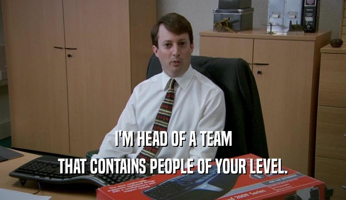 I'M HEAD OF A TEAM THAT CONTAINS PEOPLE OF YOUR LEVEL. 