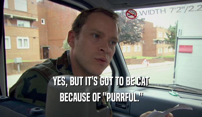 YES, BUT IT'S GOT TO BE CAT BECAUSE OF 