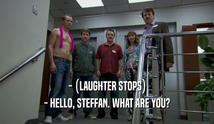 - (LAUGHTER STOPS) - HELLO, STEFFAN. WHAT ARE YOU? 