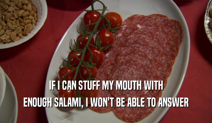 IF I CAN STUFF MY MOUTH WITH ENOUGH SALAMI, I WON'T BE ABLE TO ANSWER 