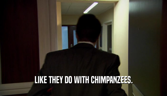 LIKE THEY DO WITH CHIMPANZEES.  
