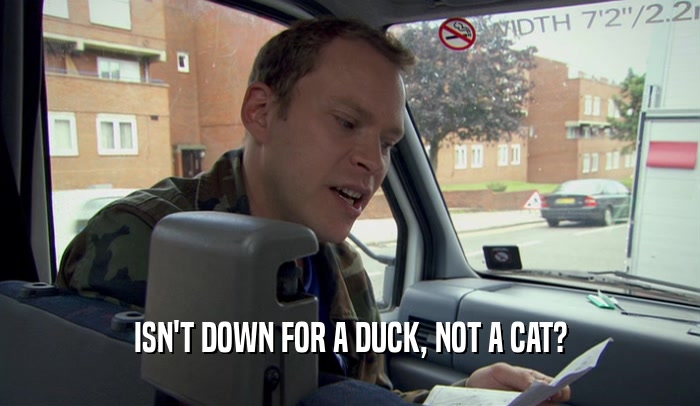 ISN'T DOWN FOR A DUCK, NOT A CAT?  