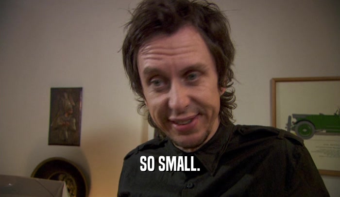 SO SMALL.  