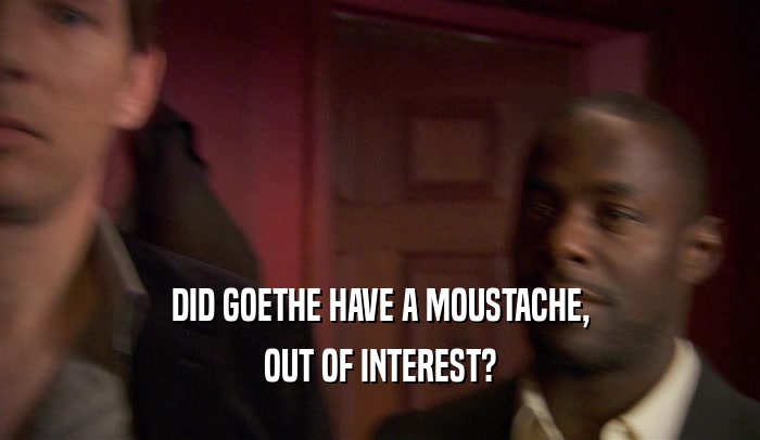 DID GOETHE HAVE A MOUSTACHE, OUT OF INTEREST? 