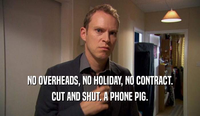 NO OVERHEADS, NO HOLIDAY, NO CONTRACT. CUT AND SHUT. A PHONE PIG. 